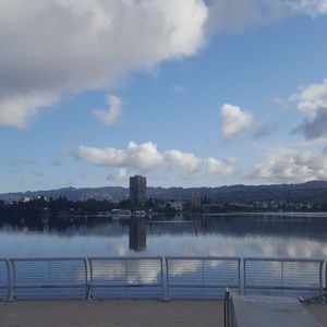 Meet your Posher, Ann